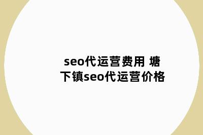 seo代运营费用 塘下镇seo代运营价格